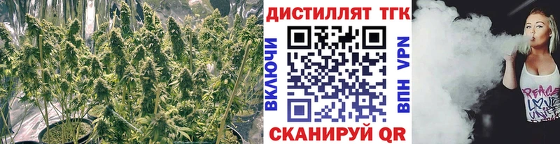 Дистиллят ТГК Wax  купить наркотики цена  omg ССЫЛКА  Волжский 